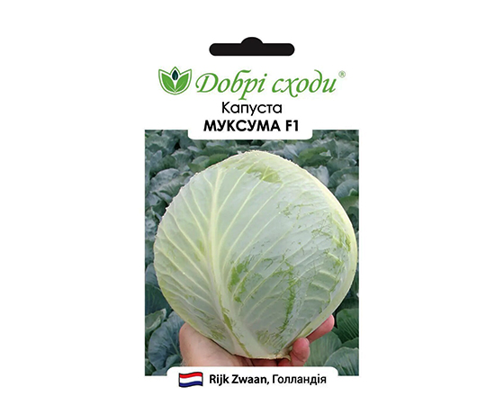 Насіння Капуста білокачанна Муксума ТМ ДОБРІ СХОДИ 20шт large popup